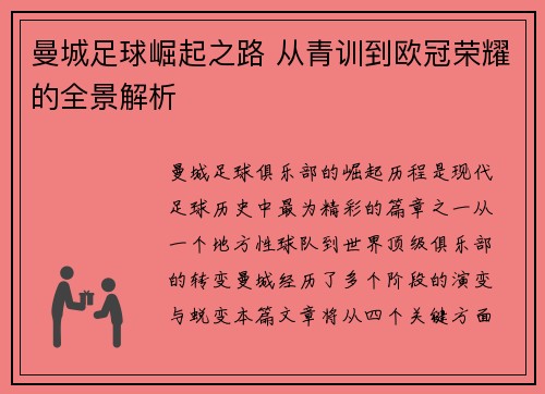 曼城足球崛起之路 从青训到欧冠荣耀的全景解析