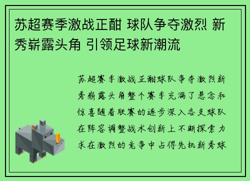 苏超赛季激战正酣 球队争夺激烈 新秀崭露头角 引领足球新潮流
