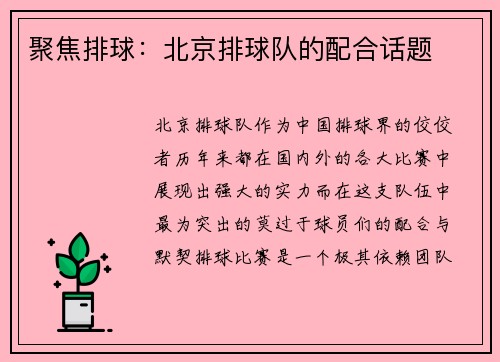 聚焦排球：北京排球队的配合话题