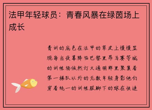 法甲年轻球员：青春风暴在绿茵场上成长